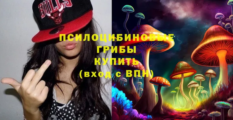 Галлюциногенные грибы Magic Shrooms  Артёмовский 