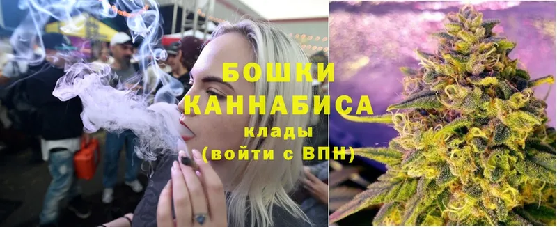 Бошки марихуана THC 21%  магазин продажи   мориарти какой сайт  Артёмовский 